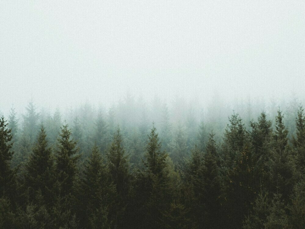 nordwesttur.ru Валаамский скит